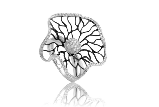 הזמנה אישית  - 1800 RD-171A002AX