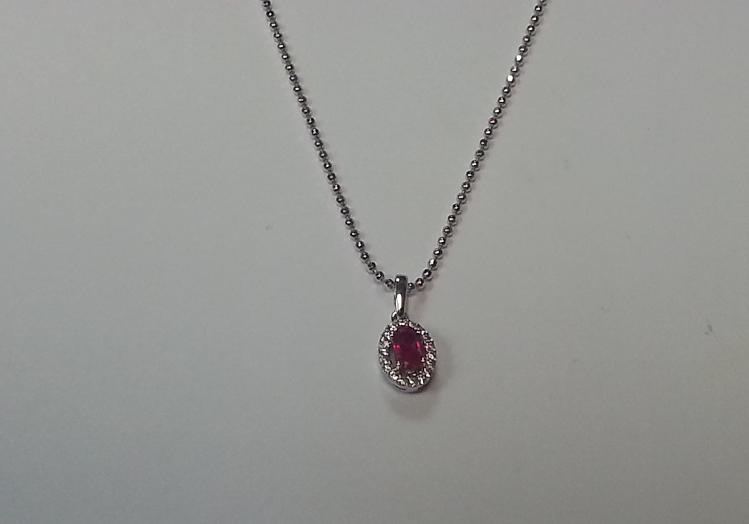 הזמנה אישית  - PG-SP10