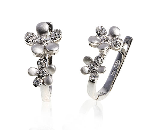 הזמנה אישית  - 1713 ER-NW80006CS